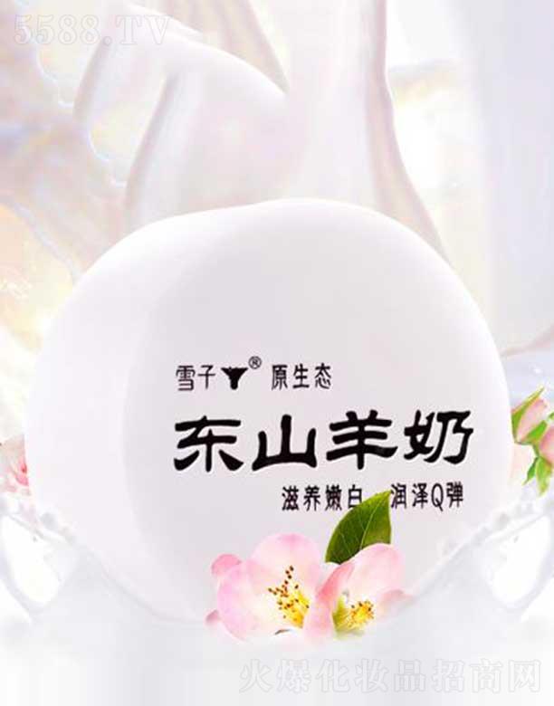 ѩ������Ƽ�(����)���޹�˾��ѩ�Ӗ|ɽ����ˮ����Դ�ֹ���