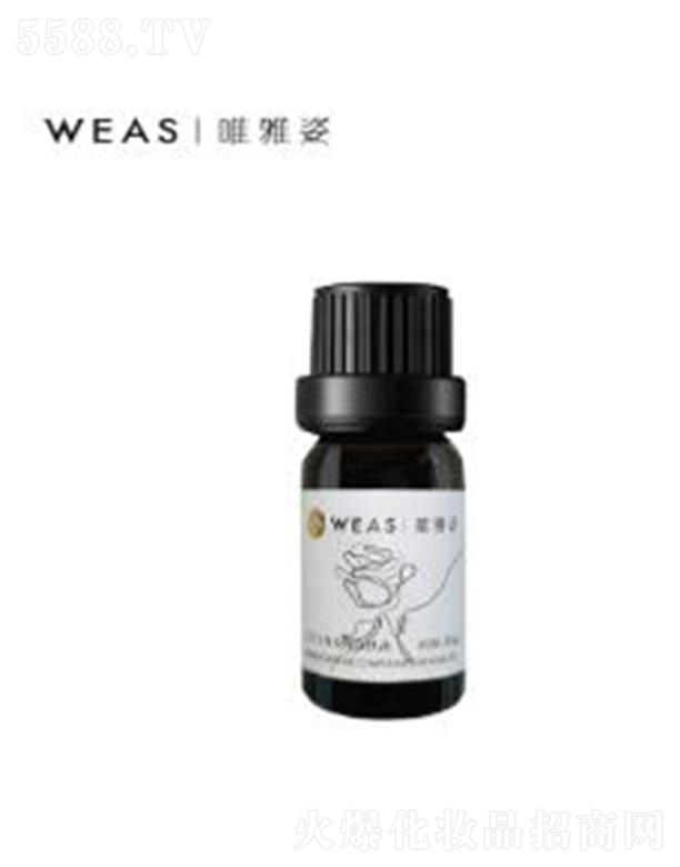 ������ֲ����Ƽ����޹�˾��Ψ���˴��Rʿ��õ�坙�w��