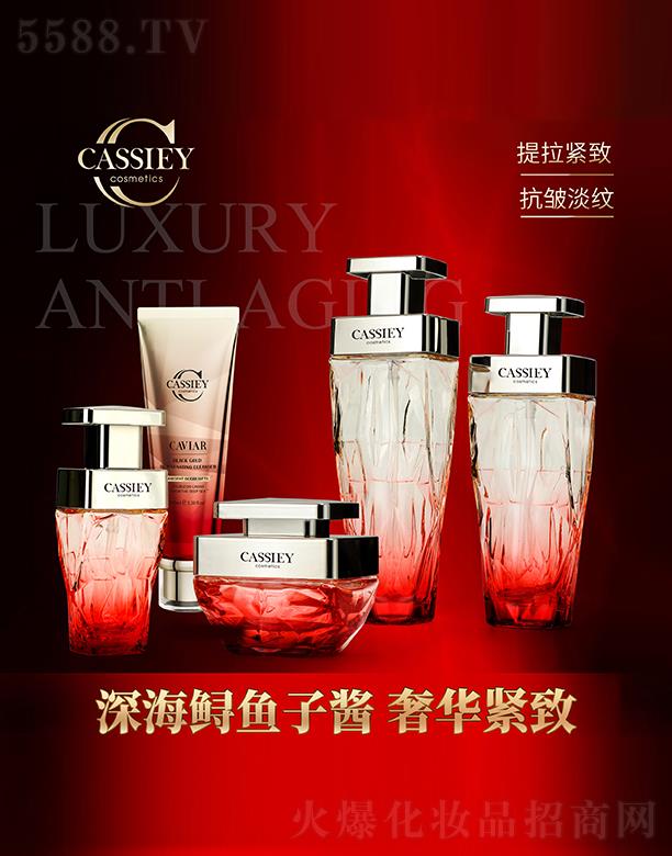 �V�|���z�ə�Ͷ�Y���F���޹�˾��CASSIEY�~���u�ڽ�o�����b