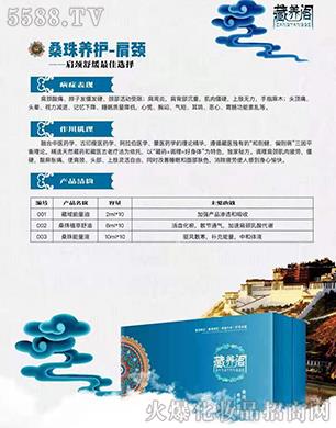 �V�����_����Ƽ����޹�˾�����B�wɣ���B�o-���i