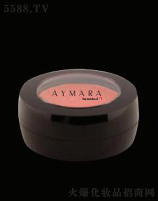 AYMARA���t