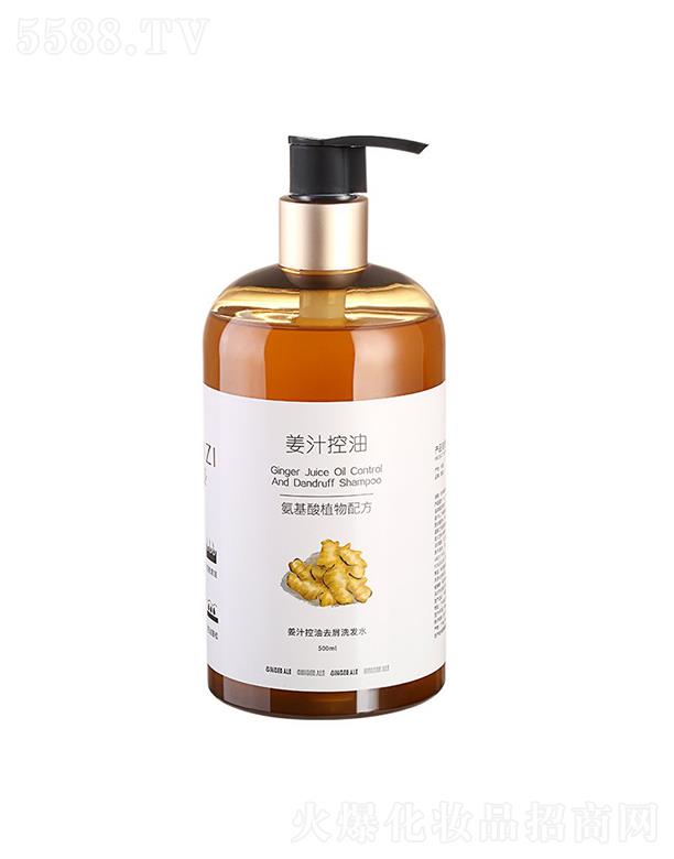 ����-��֭����ȥмϴ�l(f��)ˮ 500ML